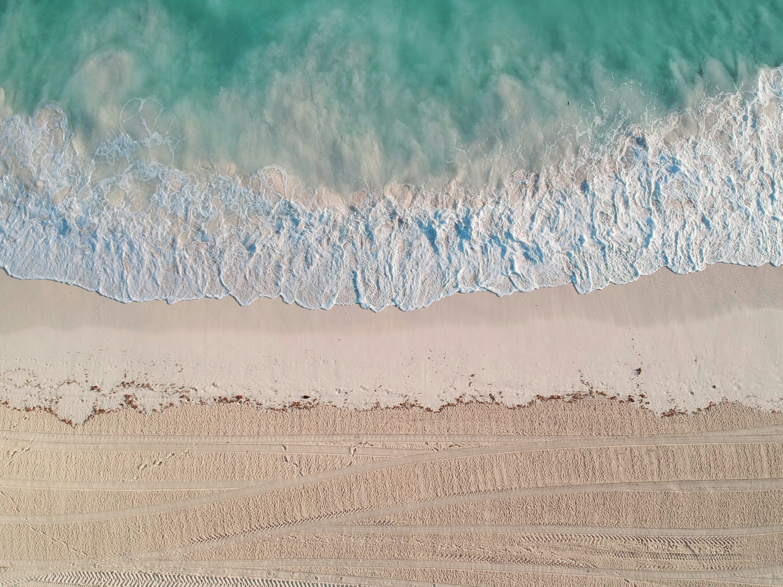 an aerial view of a beach and ocean